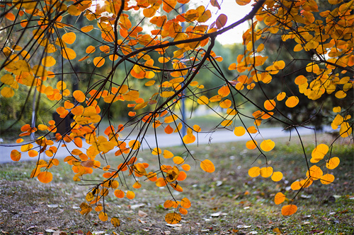 云南文創(chuàng)雪糕火出圈，“雪糕+景點(diǎn)”網(wǎng)紅式打卡驚靚一夏！