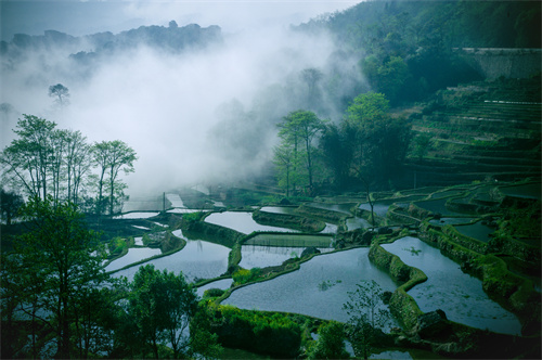 鄉(xiāng)村健康養(yǎng)生產(chǎn)業(yè)的客戶群體有哪些？它有什么開(kāi)發(fā)要點(diǎn)？