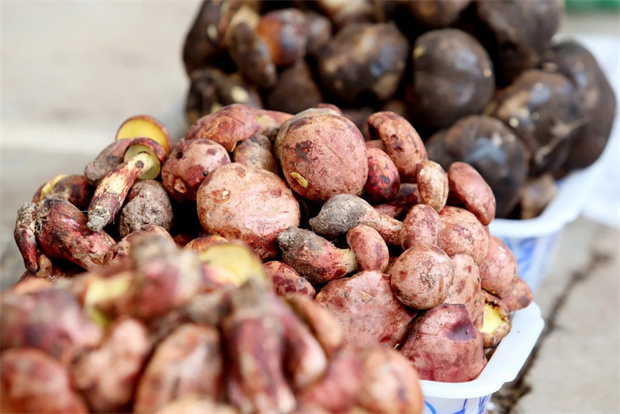 云南旅游,云南旅行社,云南團(tuán)建公司,云南策劃公司,云南會(huì)議會(huì)展,昆明旅游,昆明旅行社,昆明團(tuán)建公司,昆明策劃公司,昆明會(huì)議會(huì)展:云南吃菌季,來(lái)了!|有一種叫云南的生活之365天