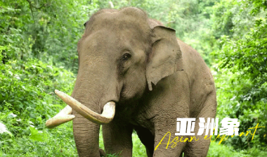 秋冬天來(lái)云南旅游團(tuán)建是個(gè)不錯(cuò)的選擇云南旅行社,云南團(tuán)建公司,云南策劃公司,云南會(huì)議會(huì)展,云南策劃執(zhí)行:云南避寒暖冬之旅